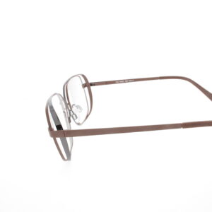 ITAI HA221 580 - Bruin