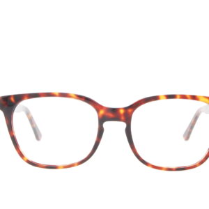 INGLEWOOD HAGL221 049 - Bruin